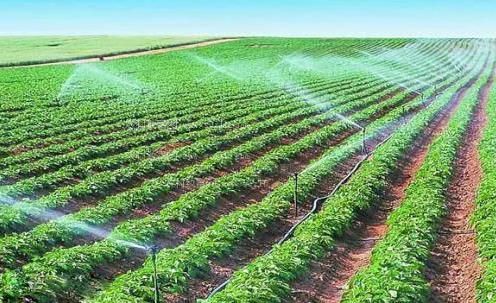 操小穴到高潮视频高清在线观看农田高 效节水灌溉